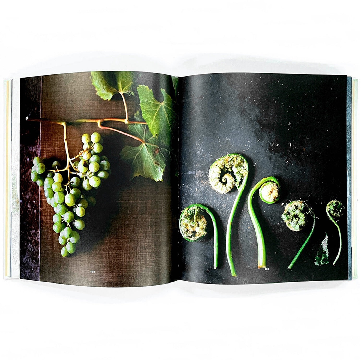 NOMA- Time and Place in Nordic Cuisine