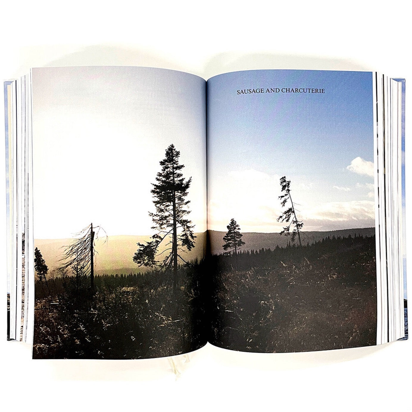 The Nordic Cookbook