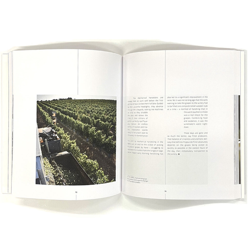 Picpoul de Pinet- The White Mediterranean Vineyards of the Languedoc