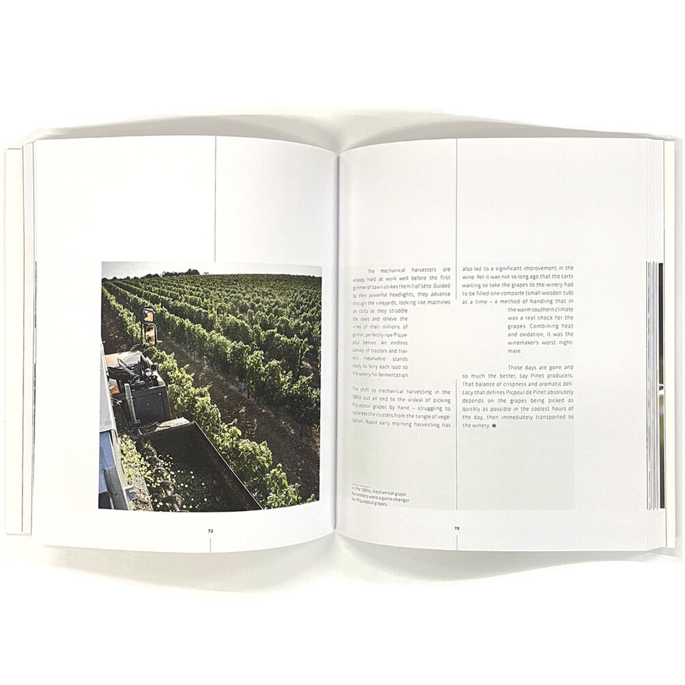 Picpoul de Pinet- The White Mediterranean Vineyards of the Languedoc